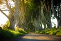 The Dark Hedges, an avenue of beech trees along Bregagh Road in County Antrim. Tourist attractions in Nothern Ireland Royalty Free Stock Photo