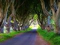 Dark Hedges is an avenue of beech trees along Bregagh Road