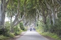 Dark Hedges, County Antrim, Northern Ireland Royalty Free Stock Photo