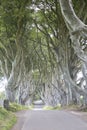 Dark Hedges, County Antrim, Northern Ireland Royalty Free Stock Photo