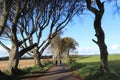 Dark Hedges - Ireland tourism - Irish travel diaries