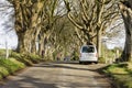 The Dark Hedges, Northern Ireland