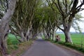 Dark Hedges stretch of road beech trees Royalty Free Stock Photo