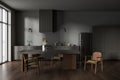 Dark home kitchen interior with cooking and dining space with furniture Royalty Free Stock Photo