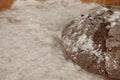 Dark homemade bread lies on flour on a wooden tray.