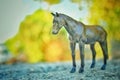 A dark horse in a green bokeh