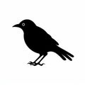 Dark Humor Graphic Print: Black Bird Silhouette On White Background