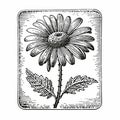 Dark Humor Graphic Print Victorian-inspired Daisy Engraving