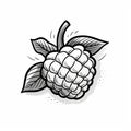 Dark Illustration Style Black And White Raspberry Fruit Vector