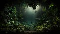 dark jungle with green plants background