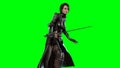 Dark knight lady 3d render Royalty Free Stock Photo