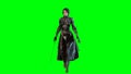 Dark knight lady 3d render Royalty Free Stock Photo
