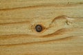 Dark knothole in a light grained wood panel, close up, texture, background, pattern Royalty Free Stock Photo