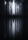 Dark lake reflection in haunted forest Royalty Free Stock Photo