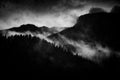dark landscape with foggy forest at night Royalty Free Stock Photo