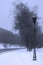 Dark lantern in a park covered with snow