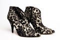 Dark leopard print women's shoes