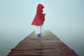 Dark little red riding hood in the mist Royalty Free Stock Photo