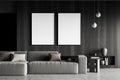 Dark living room interior with two empty white posters Royalty Free Stock Photo