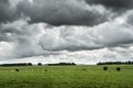 Dark low clouds over cattle field in UK countryside Royalty Free Stock Photo