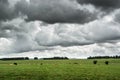 Dark low clouds over cattle field in UK countryside