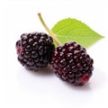 Dark Maroon Blackberries With Green Leaf On White Background