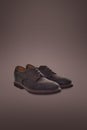 Dark men suede shoes Royalty Free Stock Photo