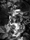 dark monochrome gothic image an old dirty vintage baby doll with a creepy scary eye staring through leaves and plants on a dark