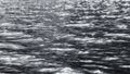 Dark Monochrome Silvery Flickering Ripples Of Water Surface Royalty Free Stock Photo