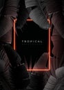 Dark monochrome tropical design with exotic banana leaves, soft neon frames and space for text. Vector summer template