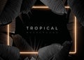 Dark monochrome tropical design with exotic banana leaves, soft neon frames and space for text. Vector summer template