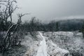 Dark moody foggy landscape, path in Norwegian mountain to the top of Rogne Royalty Free Stock Photo