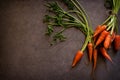 Dark moody food image of fresh carrot - still life photography.