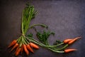 Dark moody food image of fresh carrot