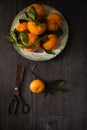 Dark moody food image of fresh ripe orange