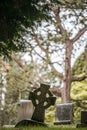 Dark moody graveyard scene with leaning cross headstone in old Victorian churchyard. Dark and eerie light with sinister feeling. Royalty Free Stock Photo