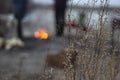 Dark moody gray background of dry grass with defocus silhouettes of people by fire, camping mood in cold cloudy weather