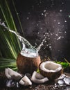 Dark And Moody Still Life Natural Coconut Water With Splash And Ice