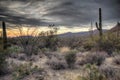 Dark, moody sunset in the Sonoran Desert Royalty Free Stock Photo