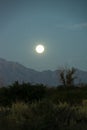 Dark Moonscape Landscape, La Rioja, Argentina