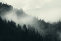 Dark mountain pine forest with fog