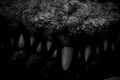 Dark mouth of the crocodile hunter