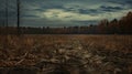 Dark And Muddy Agricultural Land In The Fall: A Macabre Romanticism