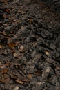 Dark muddy road background with tire traces, dirty ground and autumn leaves