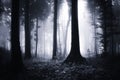 Dark mysterious blue forest with fog at night Royalty Free Stock Photo