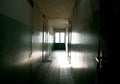 Dark mysterious corridor in building. Door room perspective in lonely quiet building with dramatic light. Horror landscape concept