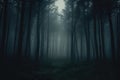 Dark And Mysterious Forest Enveloped In Mist And Fog