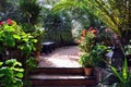 Mysterious secret garden with one bench, colorful flowers and tropical palm trees