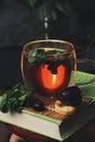 Dark mystic and calm mood. Book and hot tea with mint and honey on table with green plant