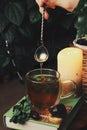 Dark mystic and calm mood. Book and hot tea with mint and honey on table with green plant